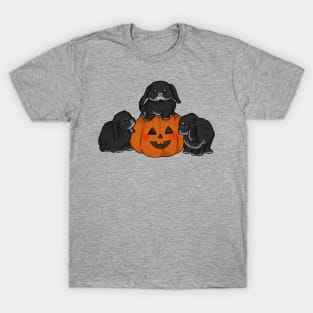 three black bunny with pumpkin spice _ Bunniesmee T-Shirt